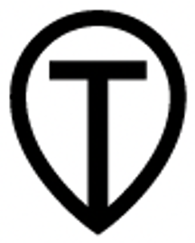 INTLE T Logo