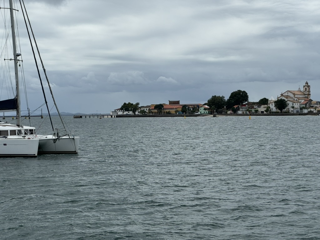 2E98CBE4-4A8C-402F-BDE8-8E446CB2FE7F_1_105_c.jpeg