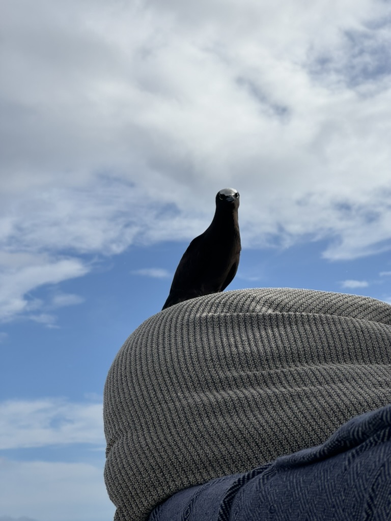 BBFB3572-0A71-48F3-B0C2-14E0EBB73177_1_105_c.jpeg