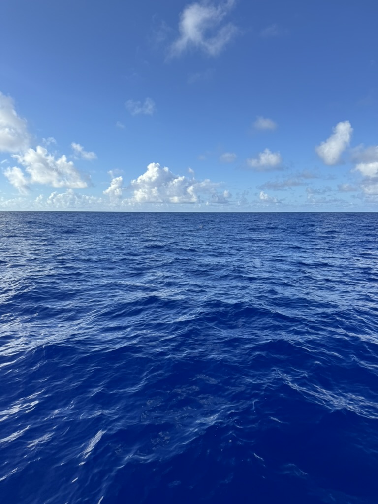 9E38308D-D9EC-44C9-A0D3-1DB132494700_1_105_c.jpeg