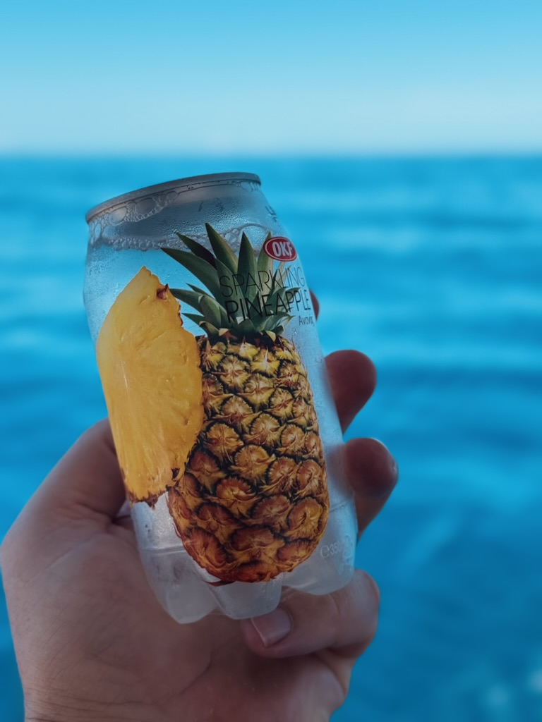 D52D326E-41DA-4313-BE98-1123AC97AB8B_1_105_c.jpeg