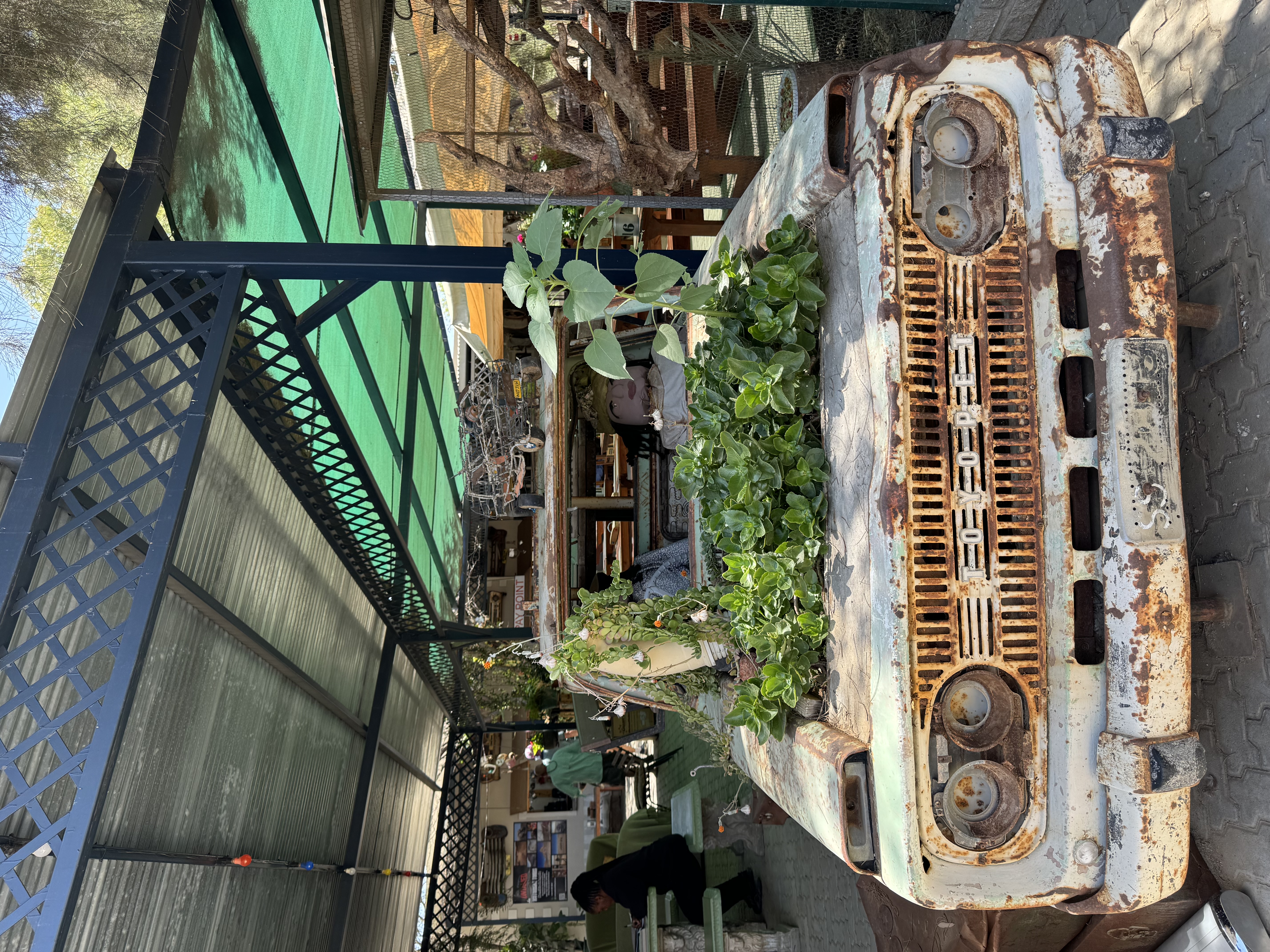IMG_8072.jpeg