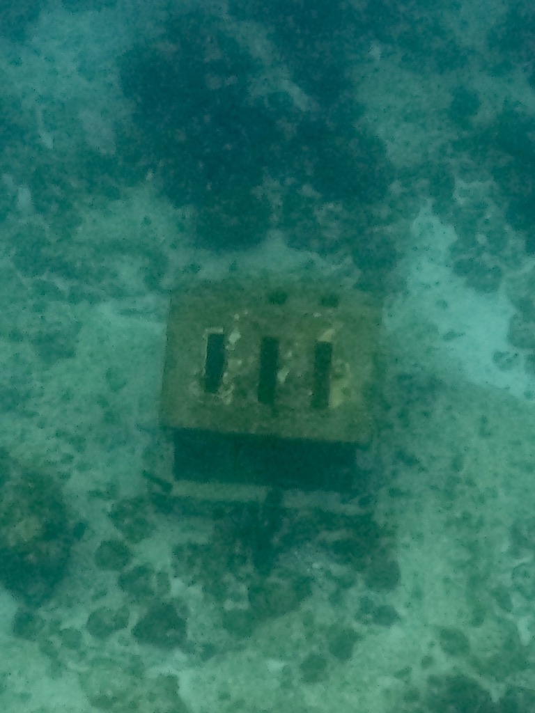 F974EA25-4C9D-4506-8154-86030B67109C_1_105_c.jpeg