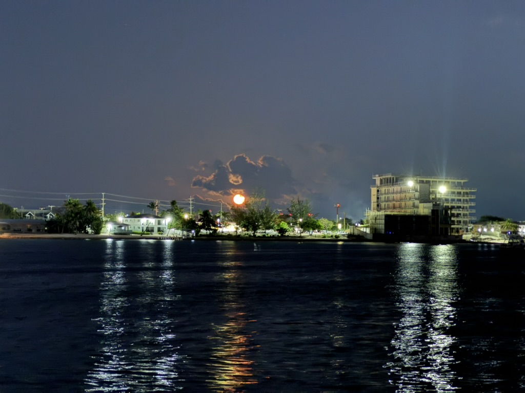 7268D83D-D1C6-473A-8751-95E891210F0E_1_105_c.jpeg