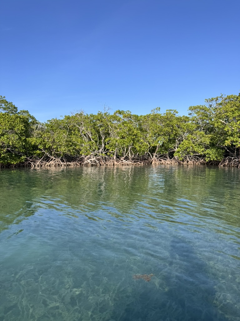 640B1F2C-CA8D-4979-9967-8BEA98418E3B_1_105_c.jpeg