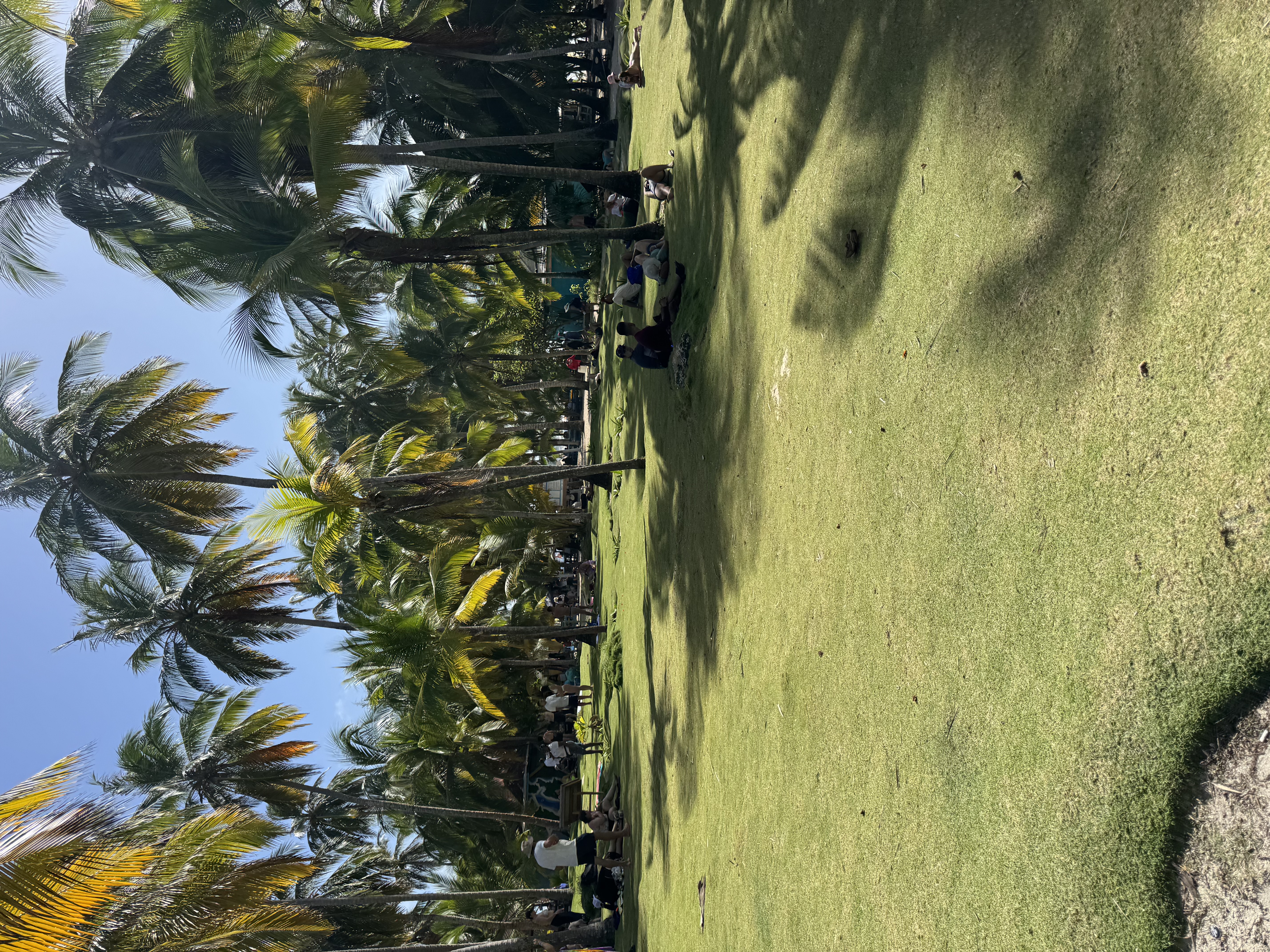 IMG_4160.jpeg
