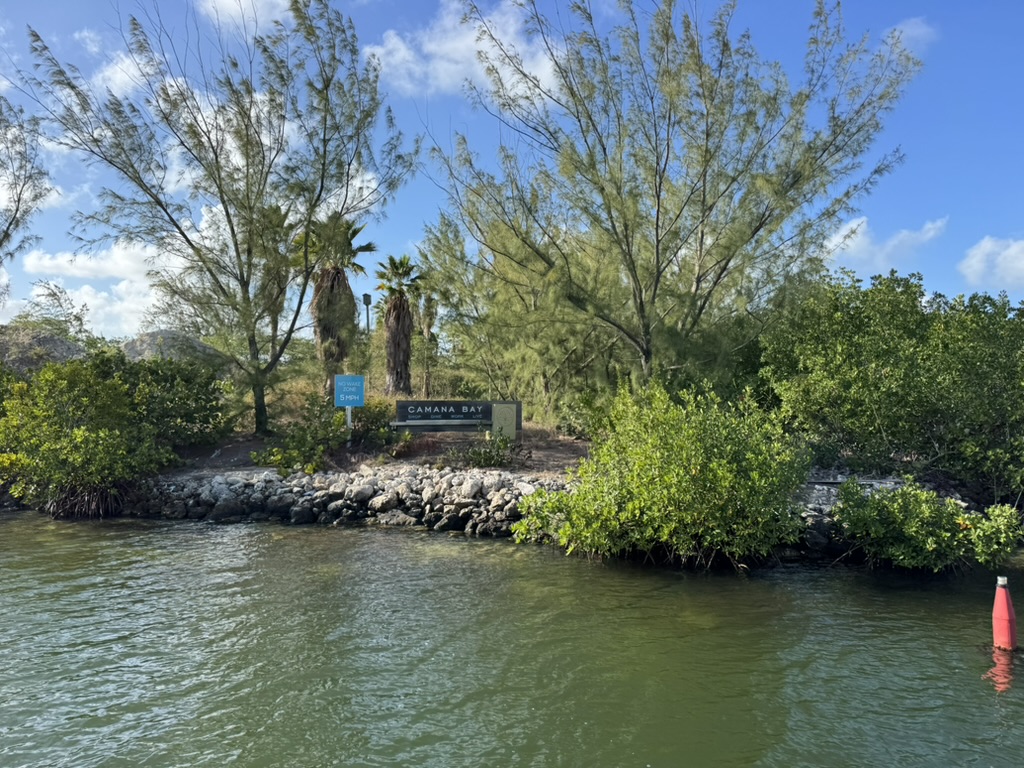 008585C3-D14C-46C0-ACCC-6B9F47629CE1_1_105_c.jpeg