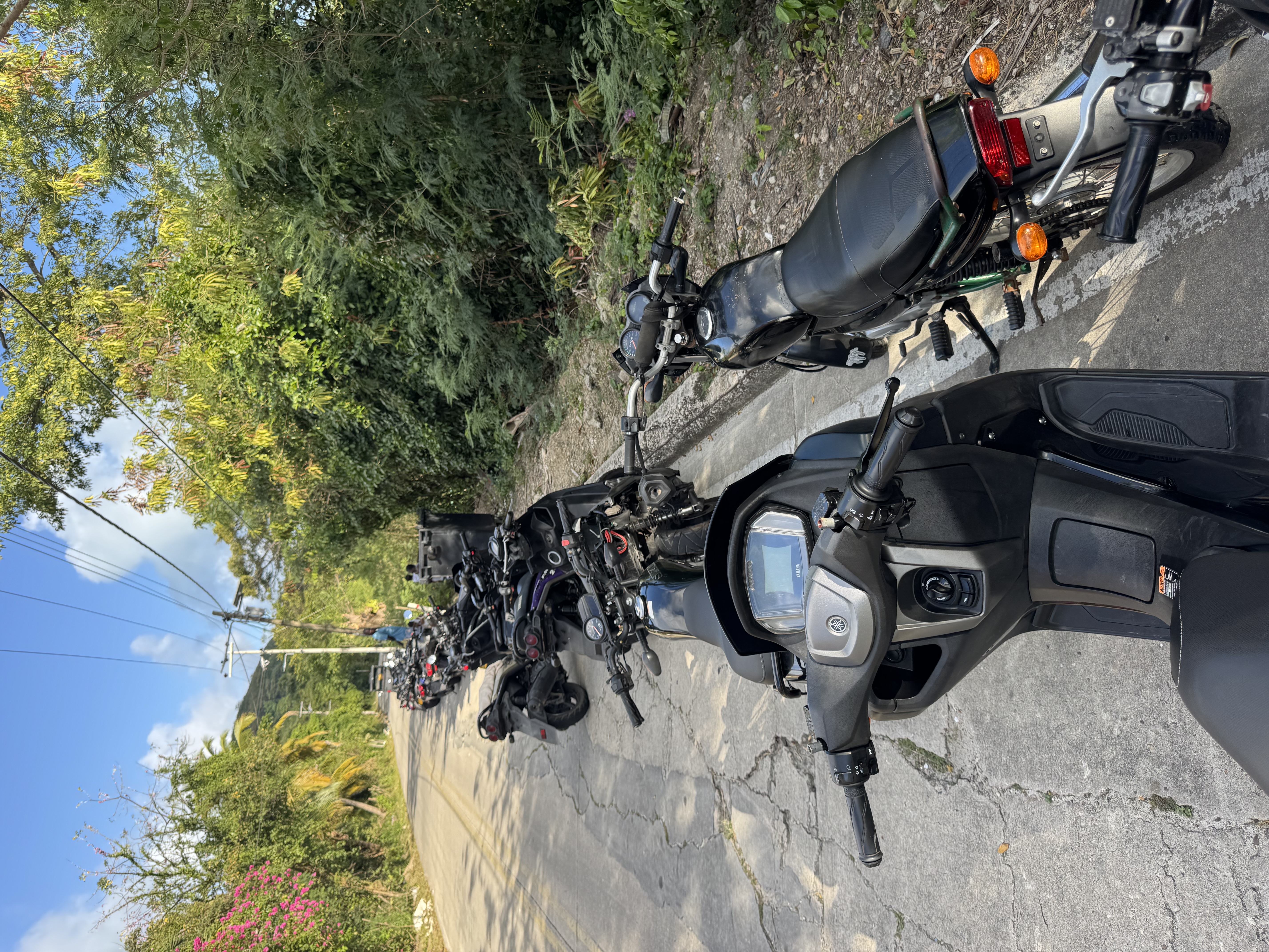 IMG_4497.jpeg