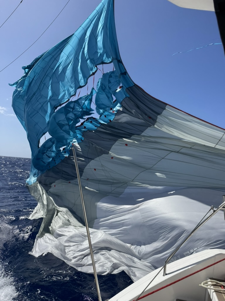 C5C51F1D-DE65-4204-A195-7BDFA607D603_1_105_c.jpeg
