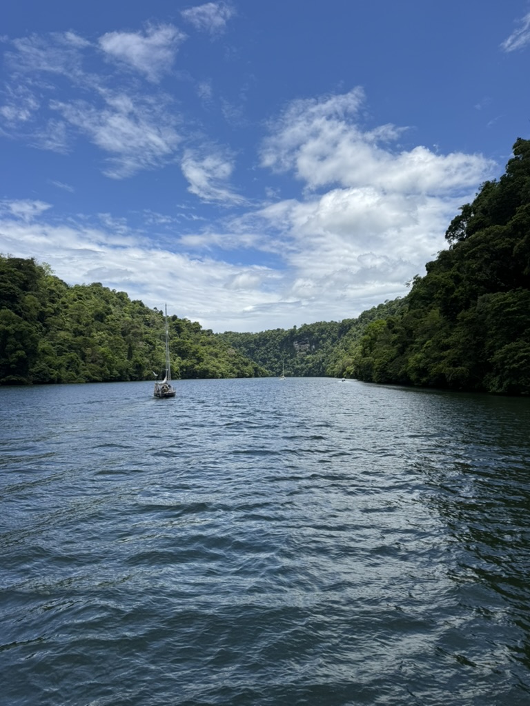 679555A8-B5B1-4E3B-BDC7-B2D26F5D5E07_1_105_c.jpeg