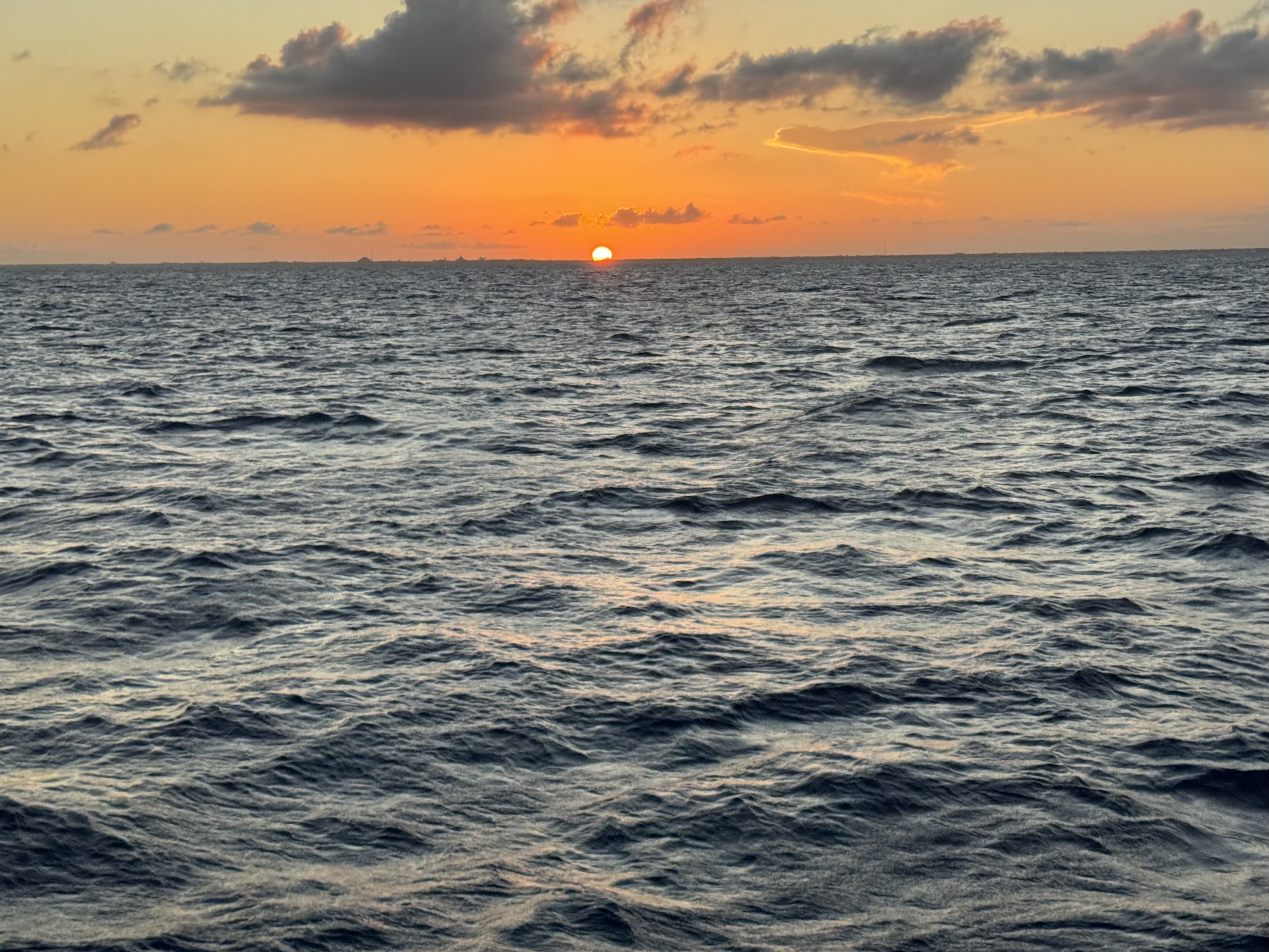 IMG_5568.jpeg