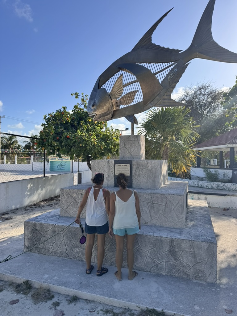 70E09E4B-25D6-4866-8654-0C67B906D547_1_105_c.jpeg